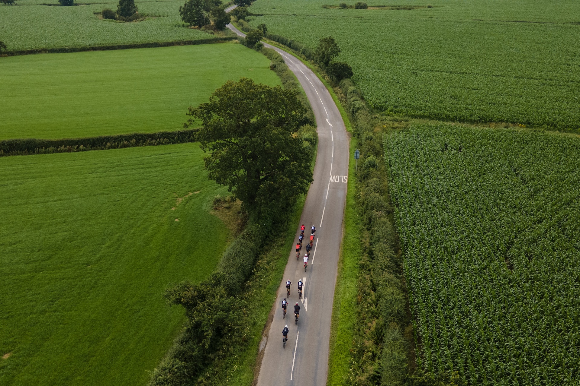 Aerial shot of cyclists